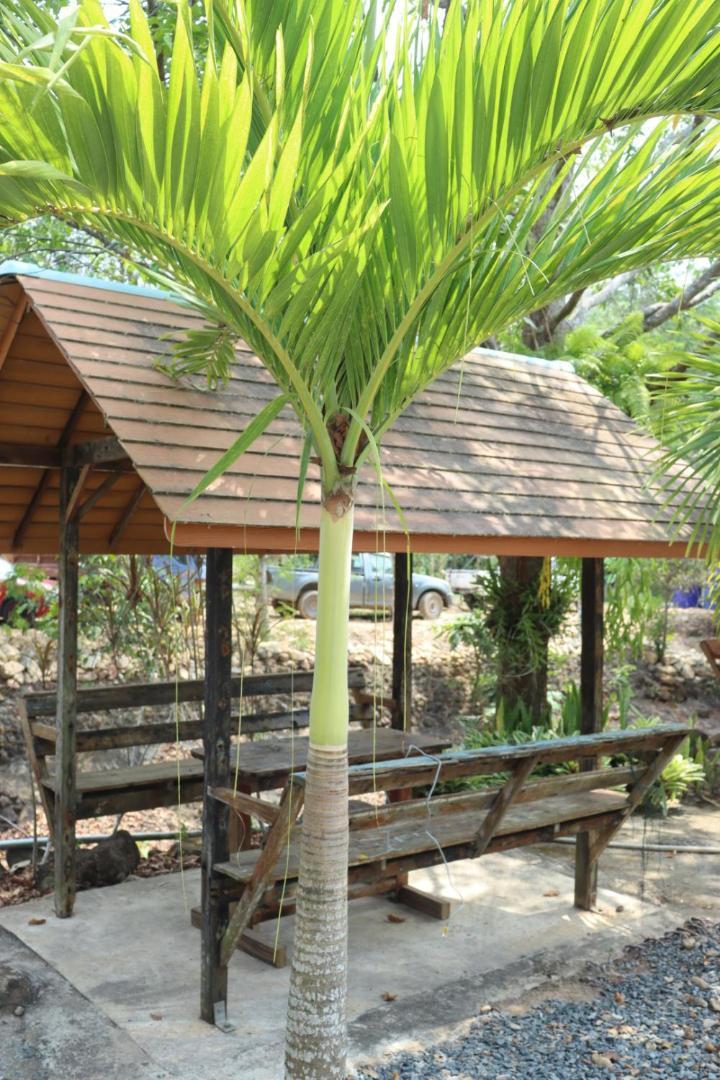 Baanrimklong Bungalow Ко Чанг Стая снимка